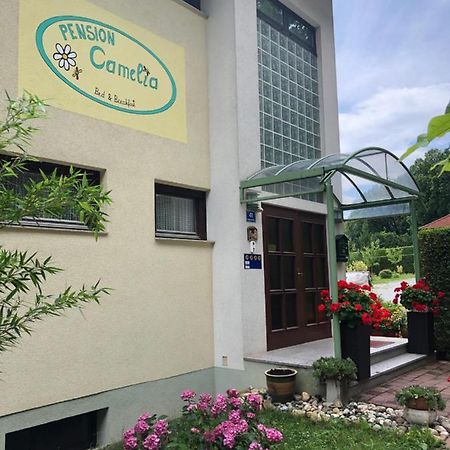 Haus Camelia Bed and Breakfast Bad Tatzmannsdorf Buitenkant foto