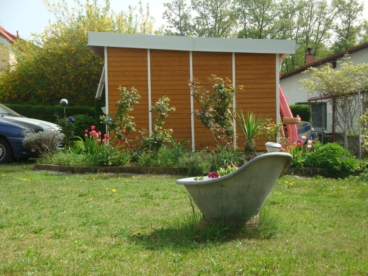 Haus Camelia Bed and Breakfast Bad Tatzmannsdorf Buitenkant foto