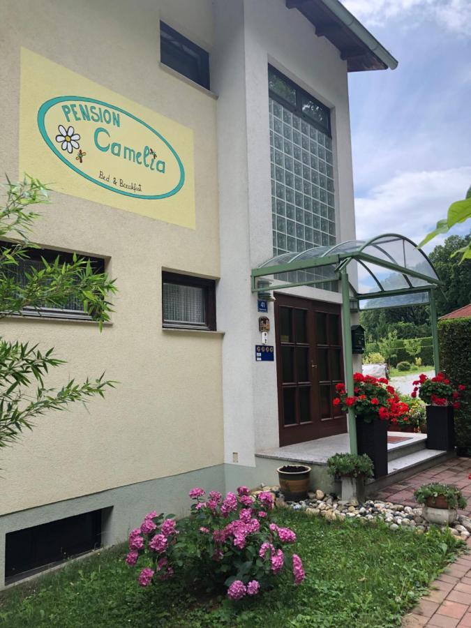 Haus Camelia Bed and Breakfast Bad Tatzmannsdorf Buitenkant foto